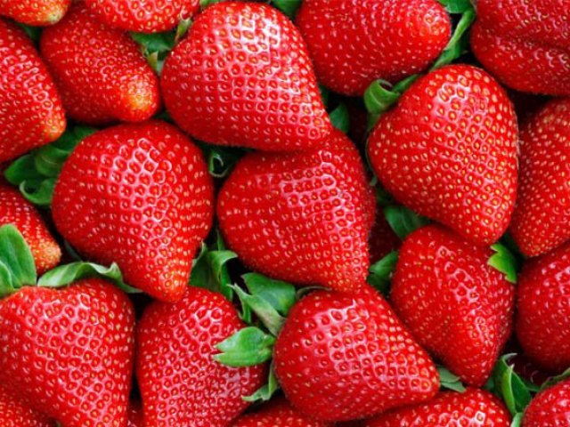 Morango