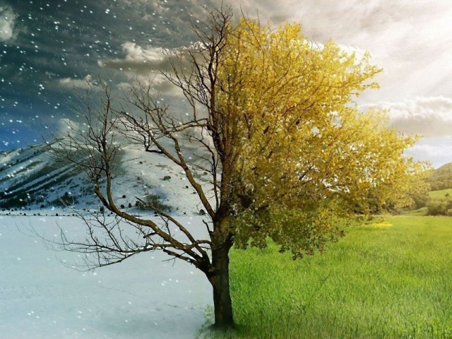 Inverno ou Verão? Qual mais combina com você?