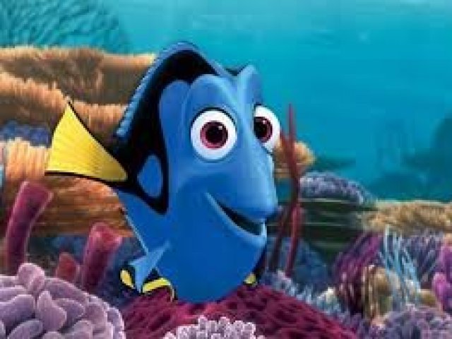 Dory