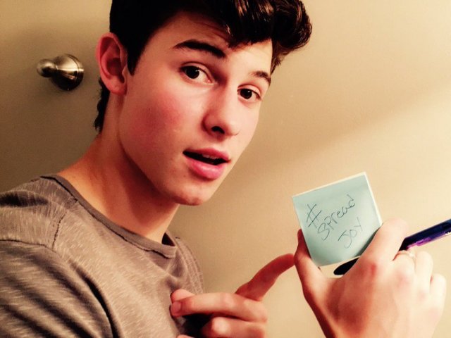 Meus parabéns!
Você se mostrou um real fã do Shawn Mendes! Você é realmente um(a) Mendes Army perfeito(a)!