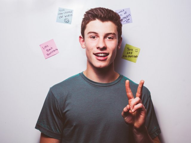 Você é um bom fã que conhece os sucessos do Shawn, mas me parece que você não é tão antenado nas músicas dele quanto parece.