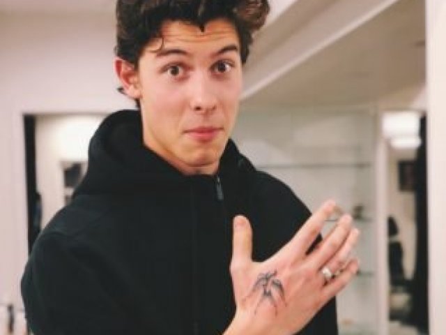 Parabéns! Você realmente é um bom Mendes Army, que conhece várias músicas do Shawn!