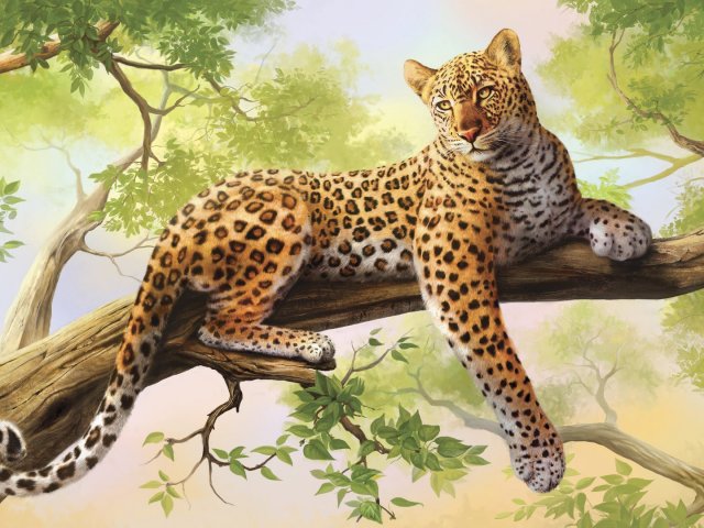Onça-pintada