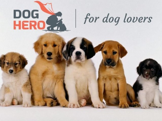 Que cachorro você seria?