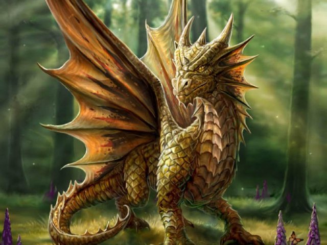 Dragão da terra