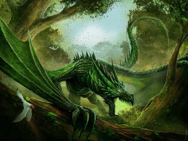 Dragão da floresta