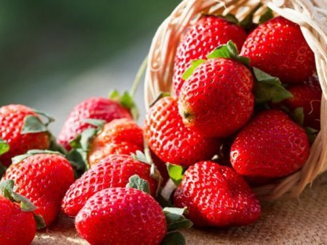 Morango