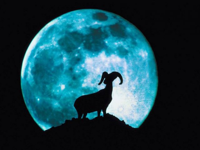 Qual fenômeno astronômico combina com você?