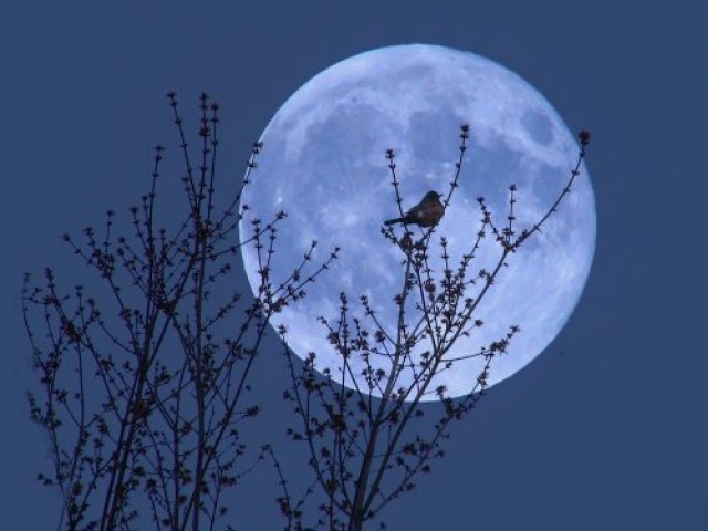 Lua Azul