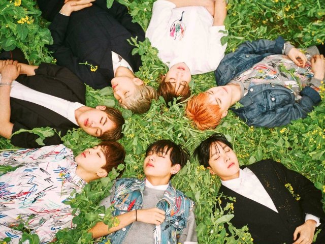 Conheces bem os membros do BTS?