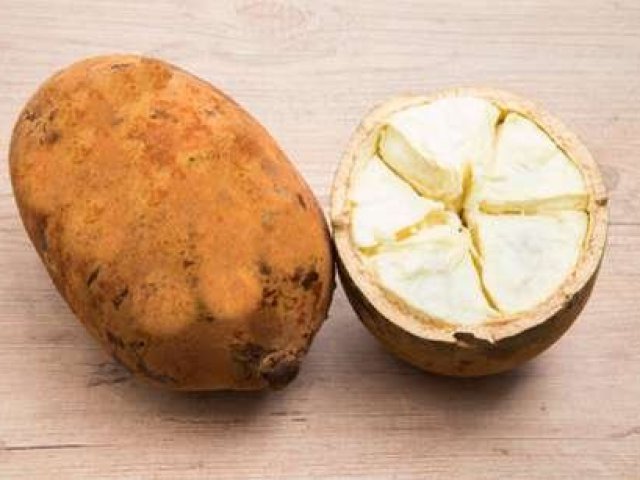Cupuaçu