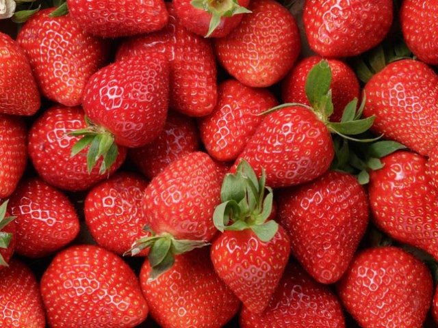 Morango