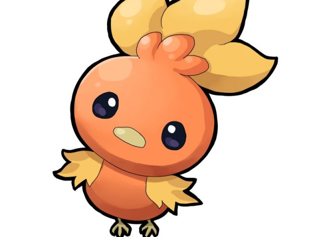 Torchic