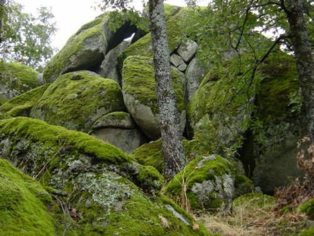 Chipre