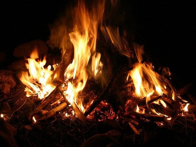 Fogo