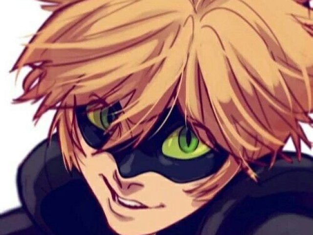 Cat Noir >:3